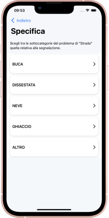 Esempio di schermata per la scelta della sottocategoria della segnalazione
